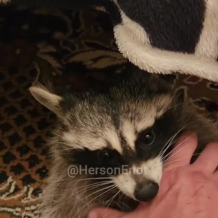 ���� �� �������: ������� ���������� � �����!