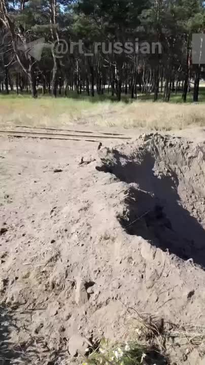 ������ �� ���� ��� ������� �� ����������� ���������� ������� 28 ��������� �� ��������� ����������, �������� RT � ���������� ������� �������