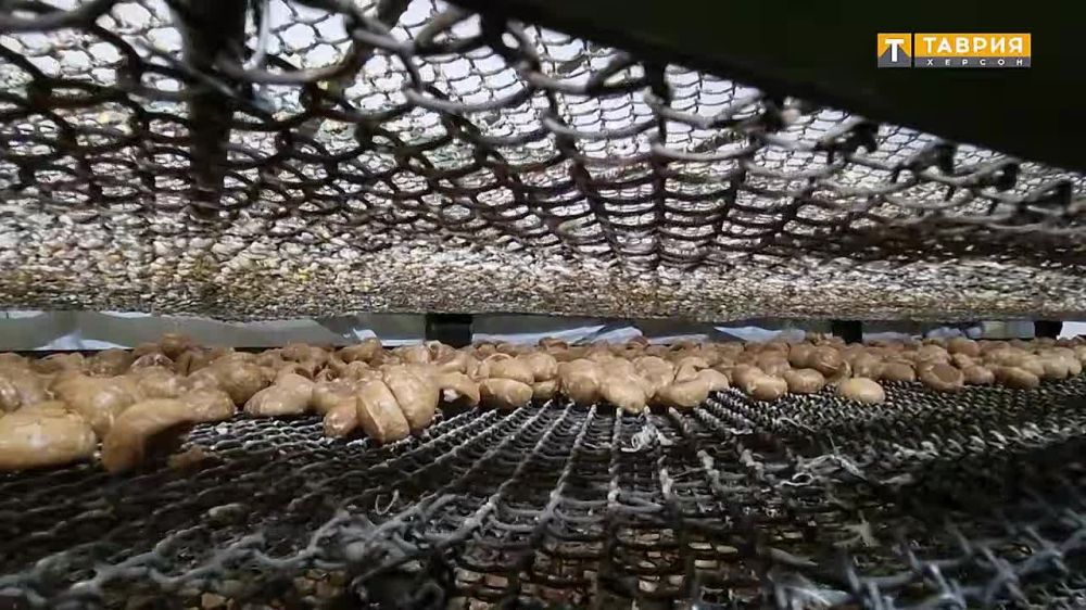 ������������� ��������� ��������������� ������ ������������