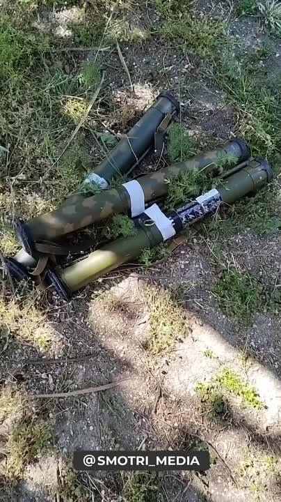 ���� �������: ���������� �����, ������������ � ������������ � ���� �������� ����������� ������ ���������� �������