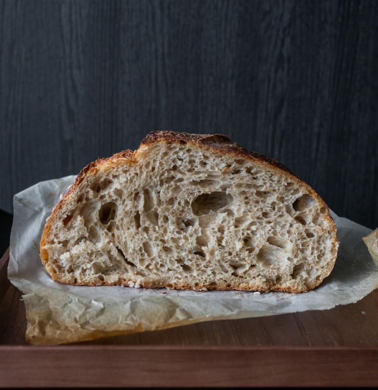 449 ������ �������������� �� �������� ������������ ������