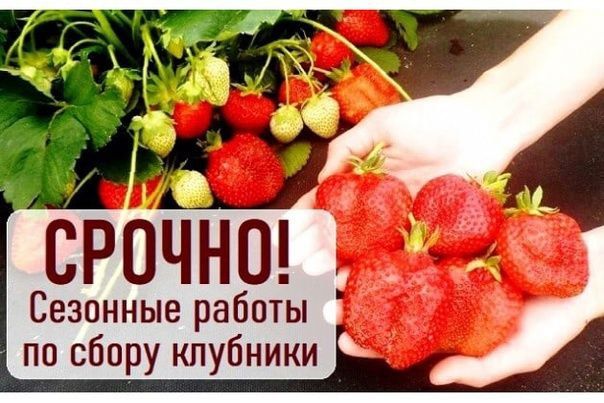 � ��������� �������������� ���������� ������ ������ ���������: