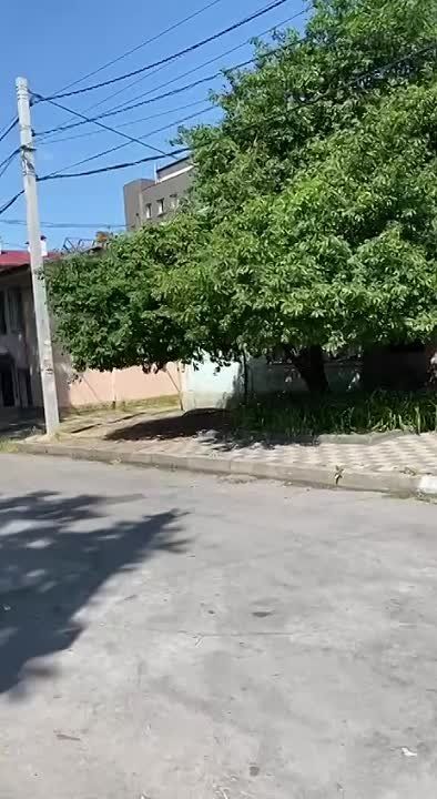 � �� ��� ������.... ������ �� �������� ������, �� ������ ��@���� ������ ����: "� ���� ������ ������� "�����", ���� ����� �� ����� �������?! ������ ���� "������� �����", ����� ����� � ��� ���������"