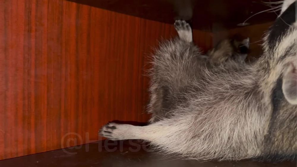 ���� �� �������: ���� ������, ������! �� ��� �� �������, ������� �� ���� ��������� �������� ���������� ������ ��������!