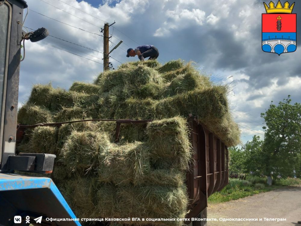 ����������������� ������������ ����������� �����������