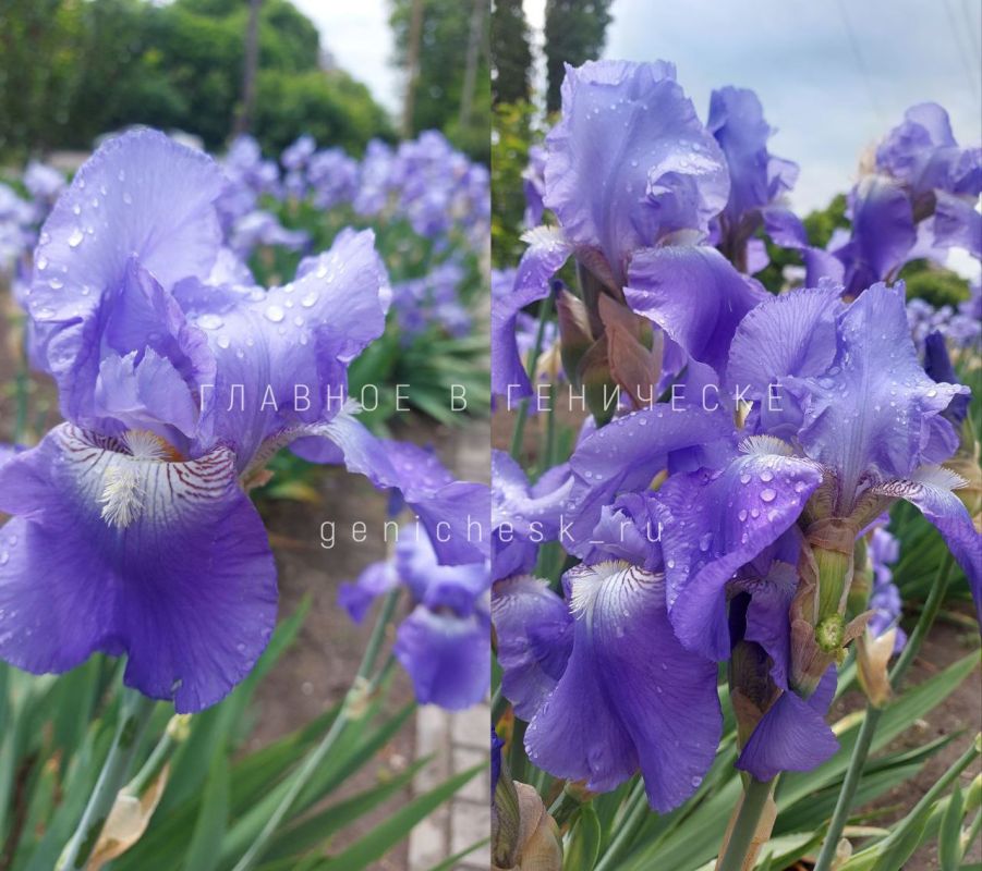 ���������� ����� ������ ������