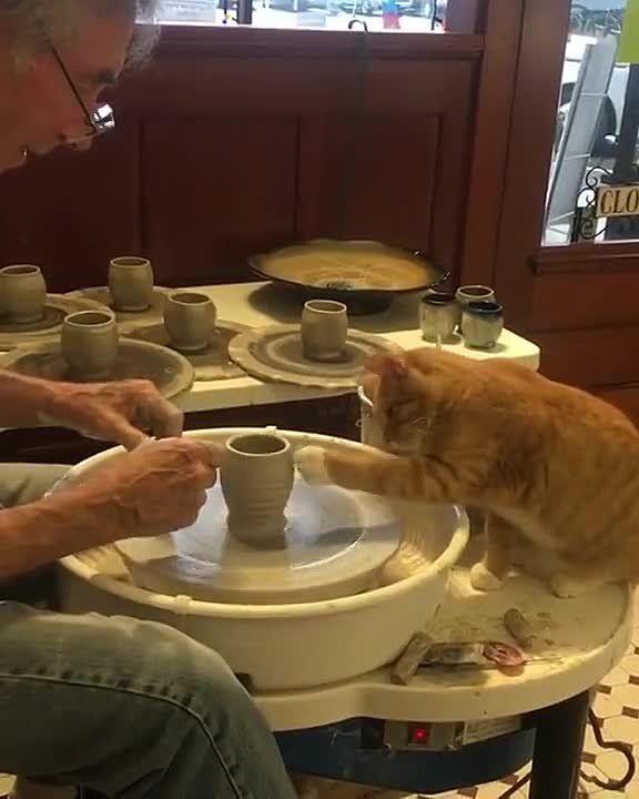 � ������� � �������� ������� ������������ �� ������� ����������, �������� ��� ����� ������� �������