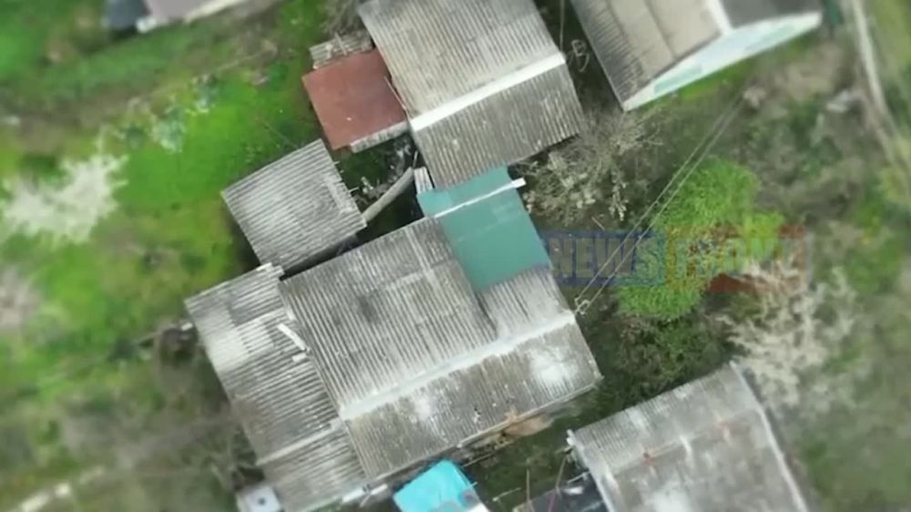 ����� ��� ����������� "�����" ���������� ������ ����������� �� ���������� �����������