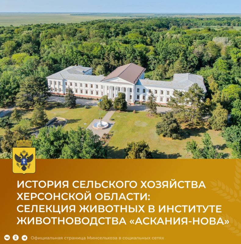 ������� �������� ��������� ��������� ���������� �������: �������� �������������������� �������� � ��������� �������������� ������� ������� ����� �.�.������� ��������-����