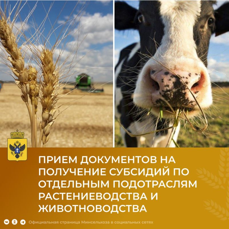 ����� ���������� �� ��������� �������� �� ��������� ��������������������� ������������ �� ��������� ����������� ��������������� � ��������������