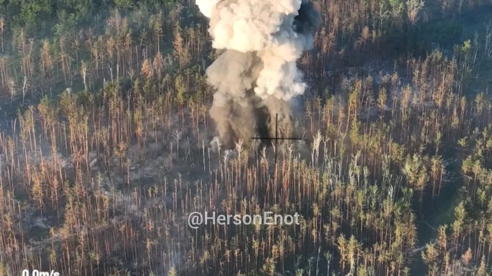 ���� �� �������: ��� ��� ������ ����� ����� ��������� ��������������, �������� ����� � ����� ���������� �������� ������