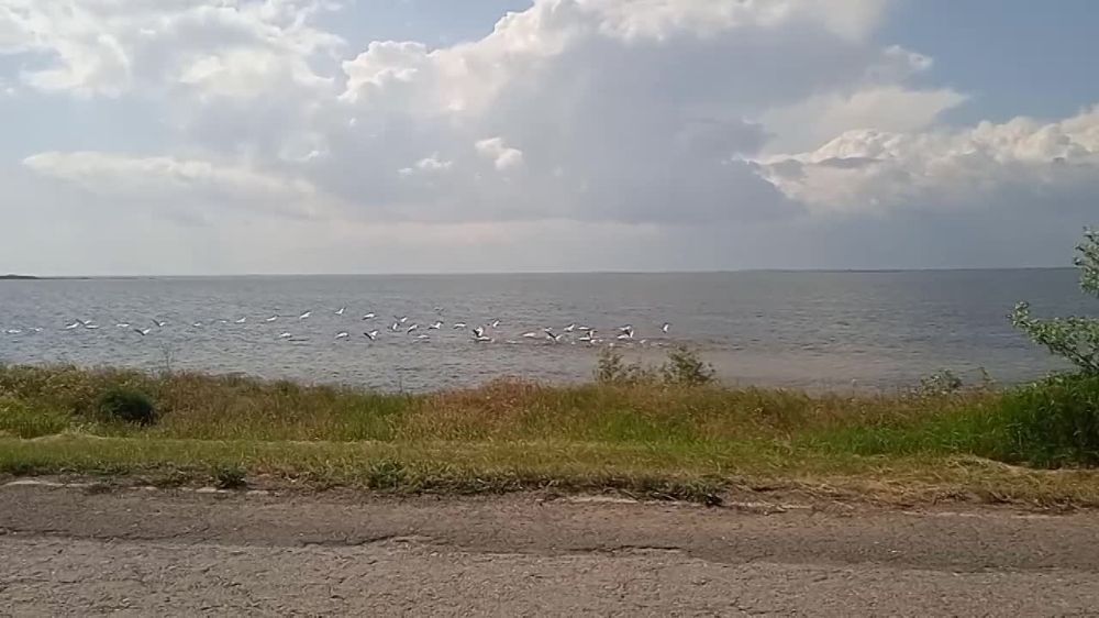 ����� - ��������� ����� ���������!!!