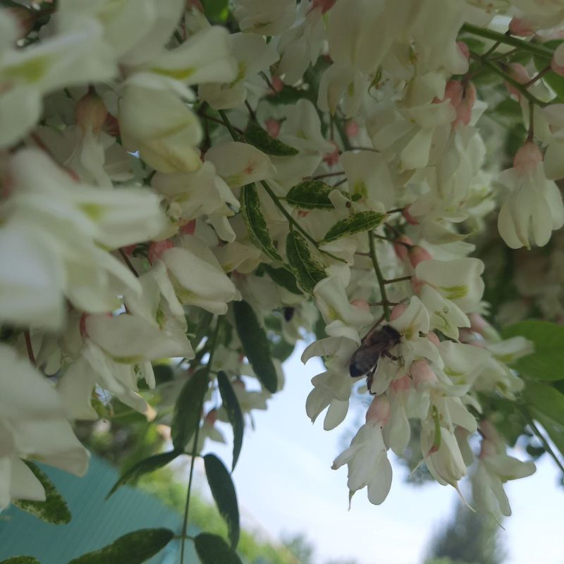 ��, ��� �� ��������� �������� ���, ���������� ������ ������ ������