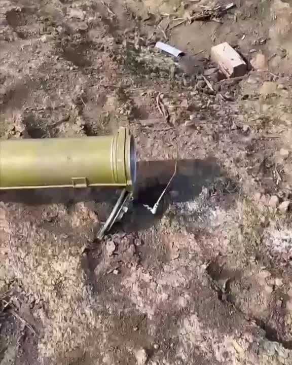 ��������� ������ ���� ����� � ������� ��� ������ �������� �������������� �������� � �������