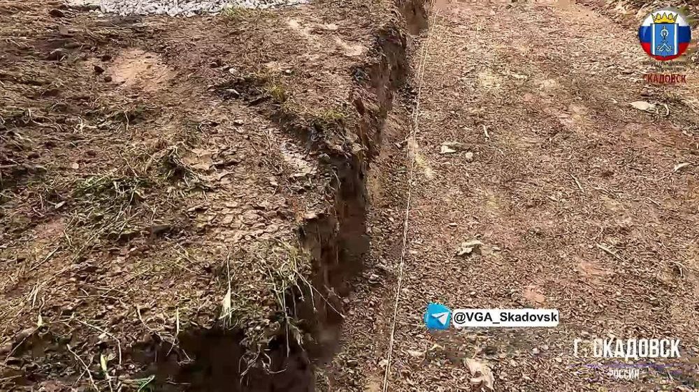 ������� ������ ������ ����� � ���������