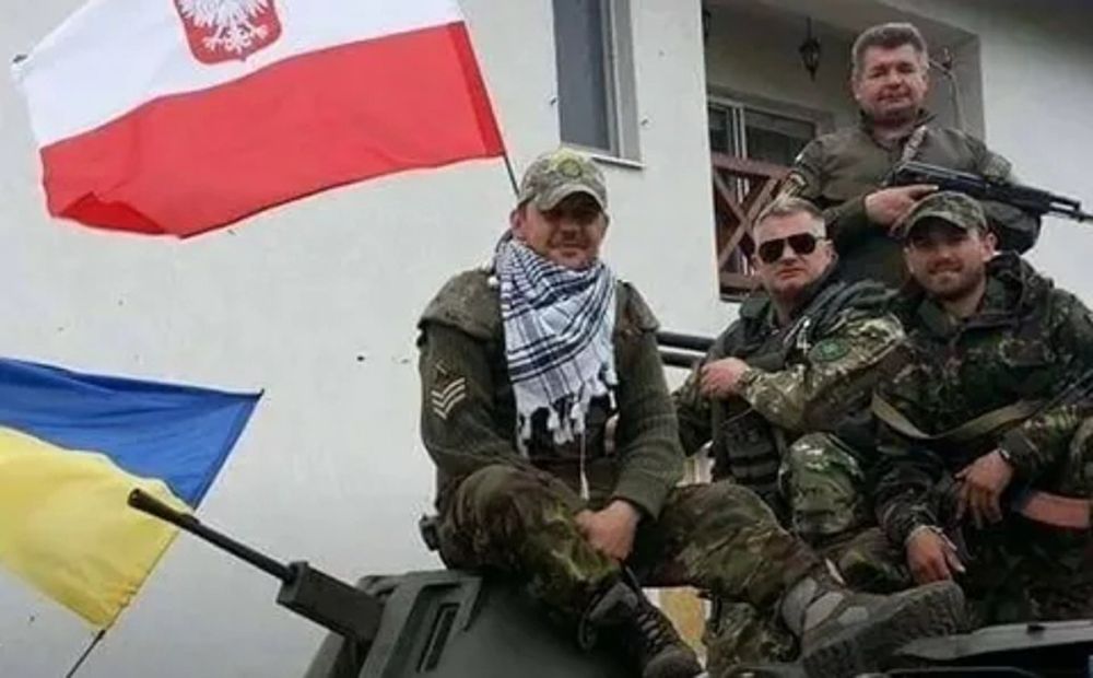 ����� �������� ����� ����������� ���������, ������� �� ���������� �����������