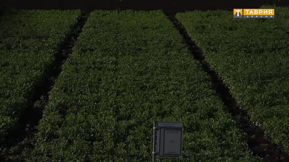 � ���������� ������� �������� ���������� � ����������� ������ �������� �������