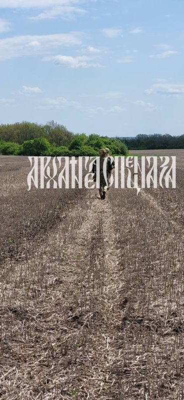 �� ������������ ����������� ������