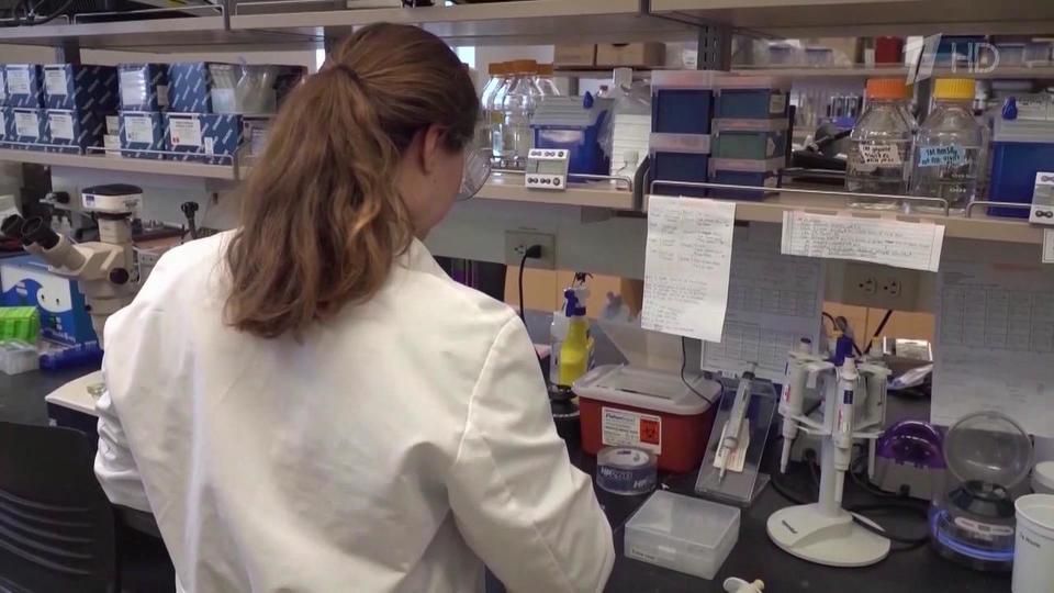 ���������� �� ����������� ����� ������ � ������-������������� ������������ ��� �� �������