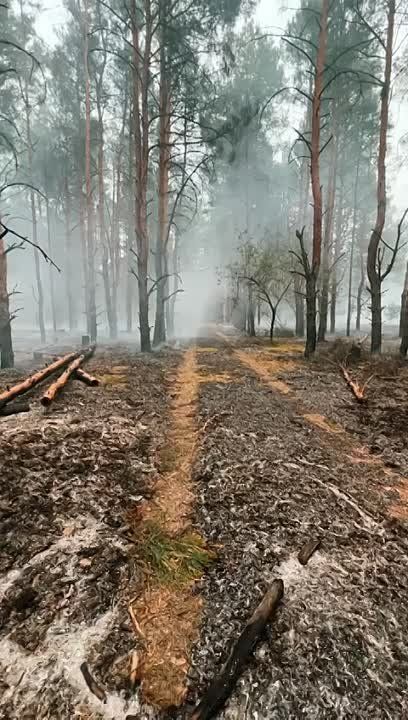 ����� � ������. ���������� �����������, ���������� ��� ���� ������� �������� ����� ������� ����������