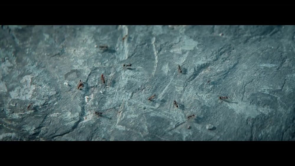 ����������������� �������������