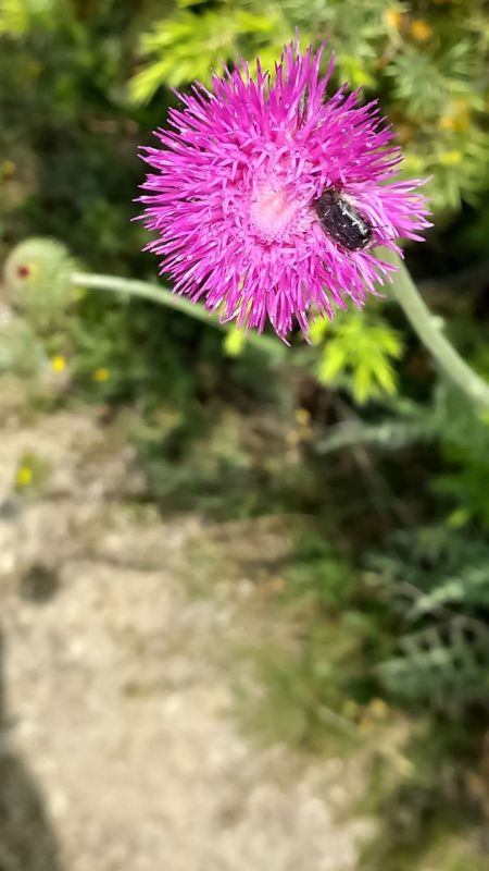 ������� �������������!. ������, ����� ������� ��� ��������� ���, ��� ������� ��� ���� �����, ������ � ������������