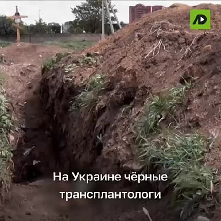 �� ����� ����������� ����� ����� �����