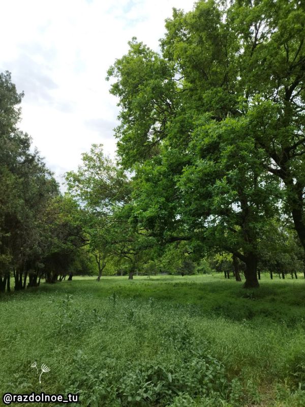 ����������! � ������ ����� � ������������ ������� ������������ ���. ����� �������� ���, ������������� ������ � ����� �����������!