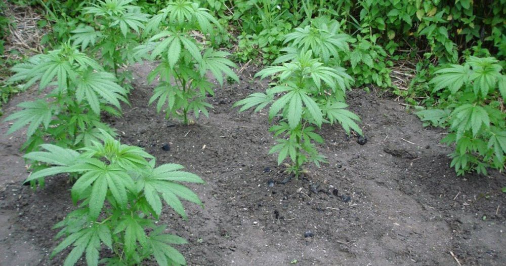 3 ������ ������� ���������� ������� ����������� ���������� �������