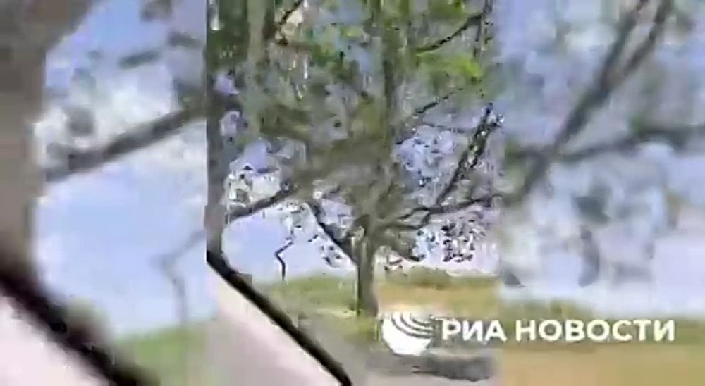 ������������� ����������� ������� ���������� ����������� ������� ���������� ������������� ���������� ����� �����������, 4 ���������� � ����� 30 ���������� ������