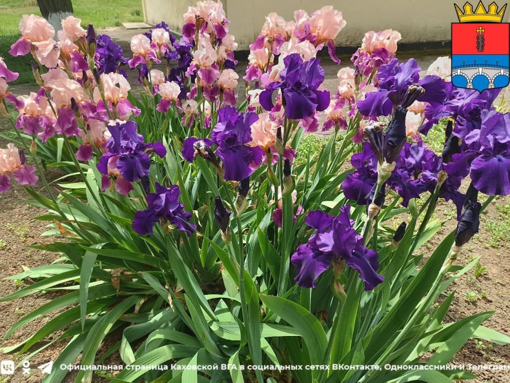 �������� � �������� ����� ��� � ��������������� ��