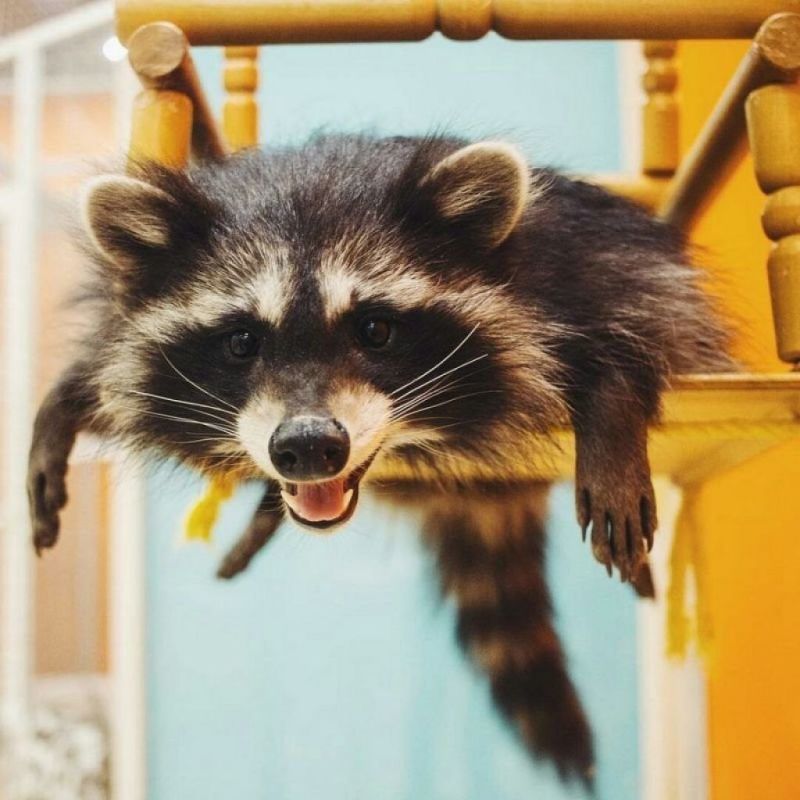 � ������ �����, ����������!