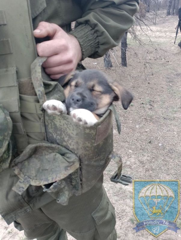 ������ ����. ������ �������� ������ ����� ��������� � ������� �� ������ ������. �������, ��������, ������� �����. ����������� �� +14 ����� �� +24 ����