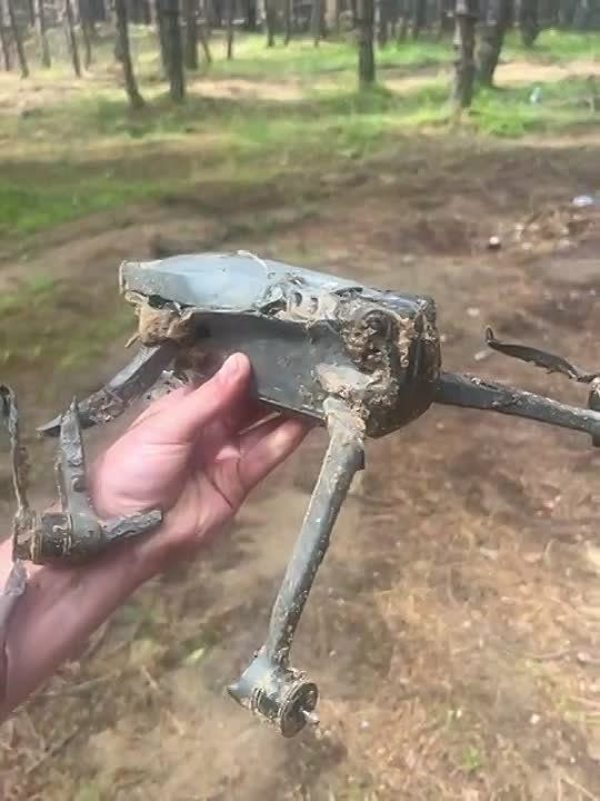 ����� � ������. ���������� �����������, ���������� ��� ���� ������� �������� ����� ������� ����������