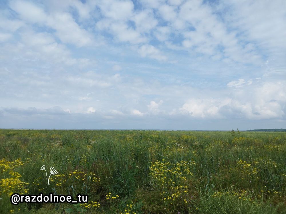 � ������ �����! ����������!