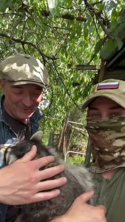 ������� �������� �����