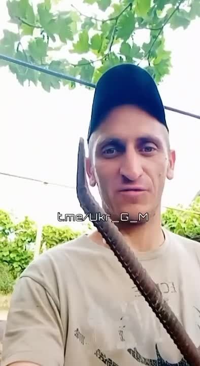 ������� � ����������� � ������������