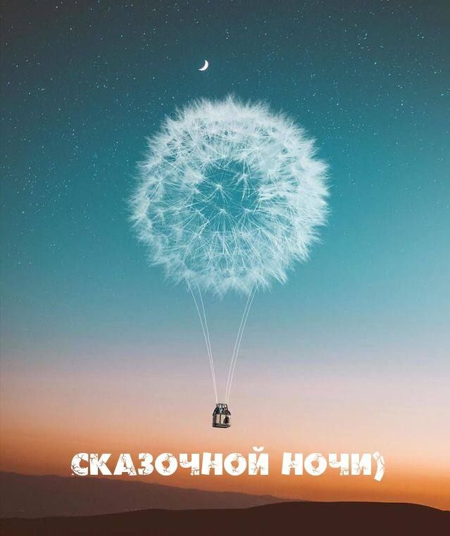 ������ ����. ������ � ���� � �� ������ ������ ���� � ������� ����� ������ �� ��������. � ������ �����, ������� �������� ����� �������, ������ ���������. ����������� �� +15 ����� �� + 24 ����