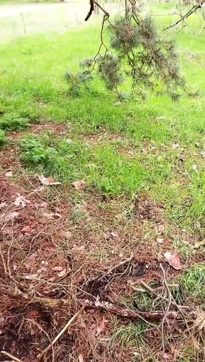 ����� � ������. ���������� �����������, ���������� ��� ���� ������� �������� ����� ������� ����������