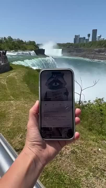 ���� �� �������: �� ����� ������������� ��������, ������� ��������� ������ �����������, � �� ��� ���� �������