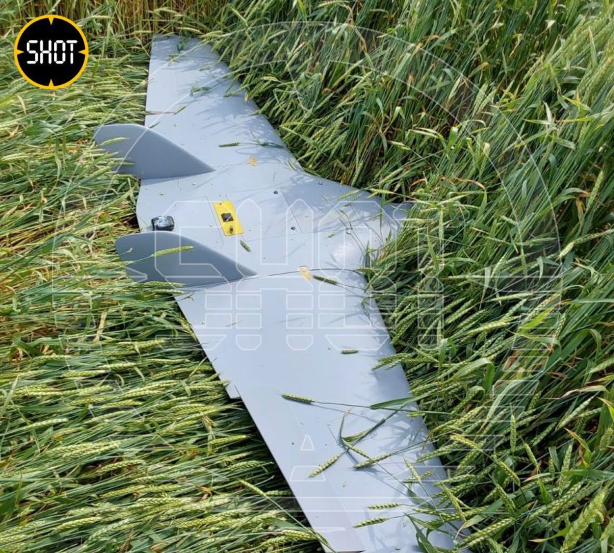 ����������� ���� � ������������� ����