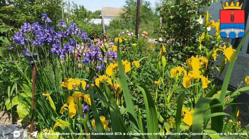 �������� ������ � ���������� �������������