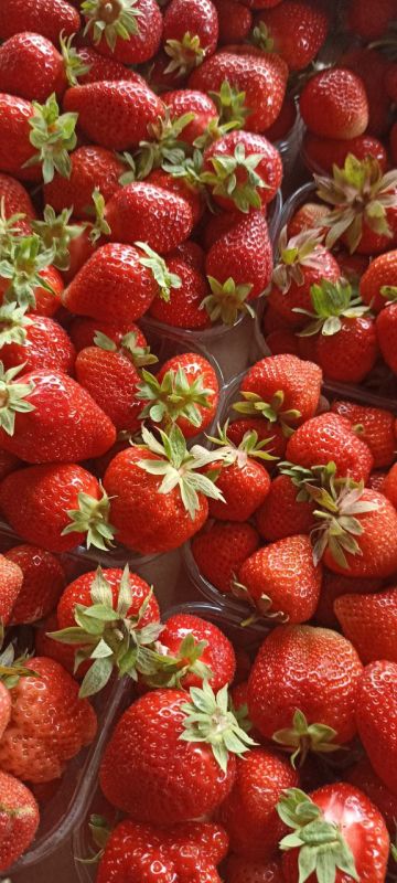 ������� �������������!. ������� �������� ����, ����� ��������� ��� �� ��, ��� ��������!