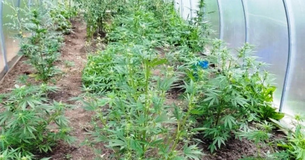 ������ ���������� ������� ��������� � ������� 14 ������ ����������� ��������