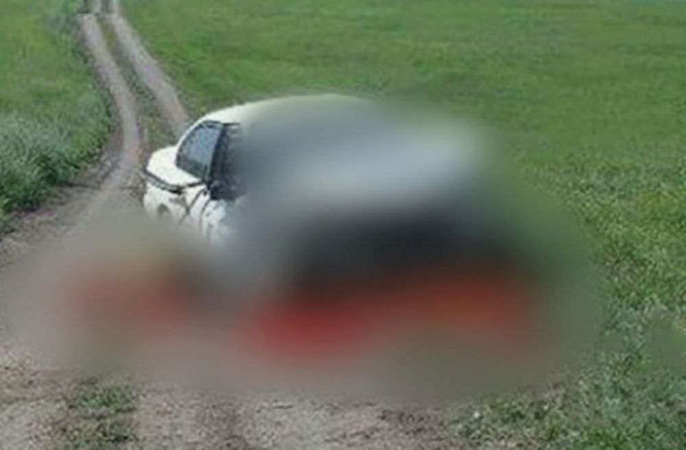 � ������������ ������� ��������� ����������� �������� � �� ����, ������������� ���, ����������� ������ � �������� ����� � ����� ����������� ������