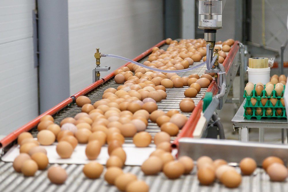 ����������������� ������ �� ��� ����� ���������� � ���������� �������