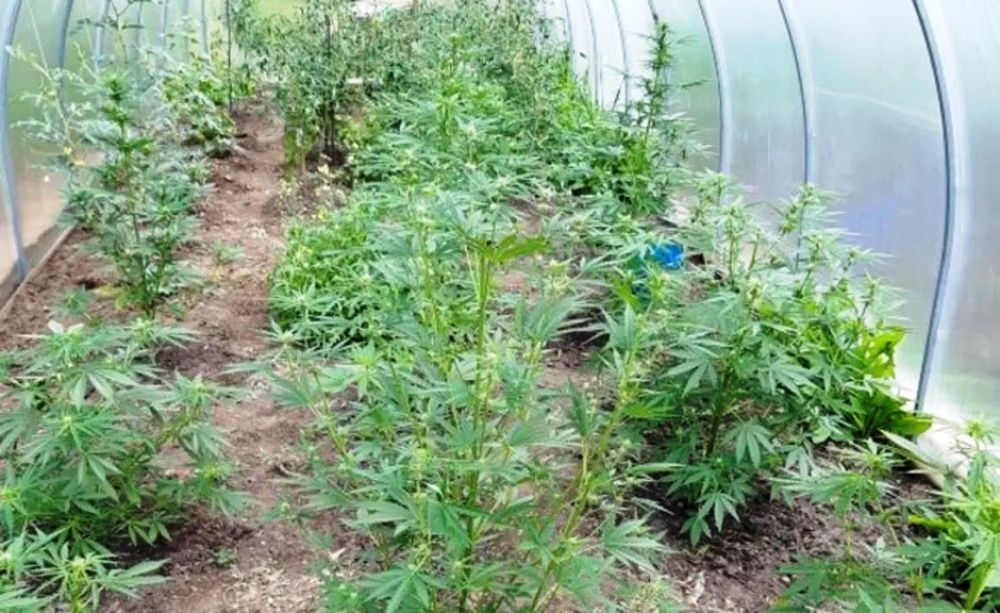 � ����������� �� ����������� ���������� ��������� ������� �������