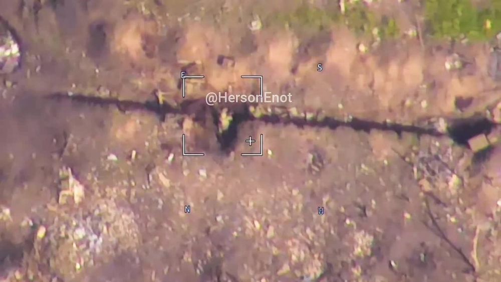 ���� �� �������: ������� � "�����������" ���������