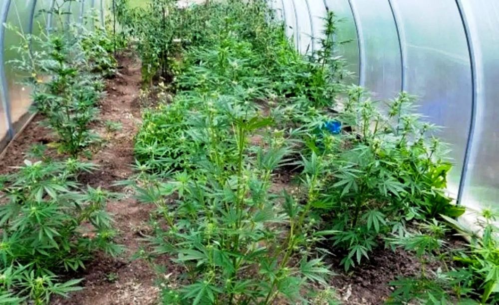 � ���� ������� ������ ������� ���������� ��������������