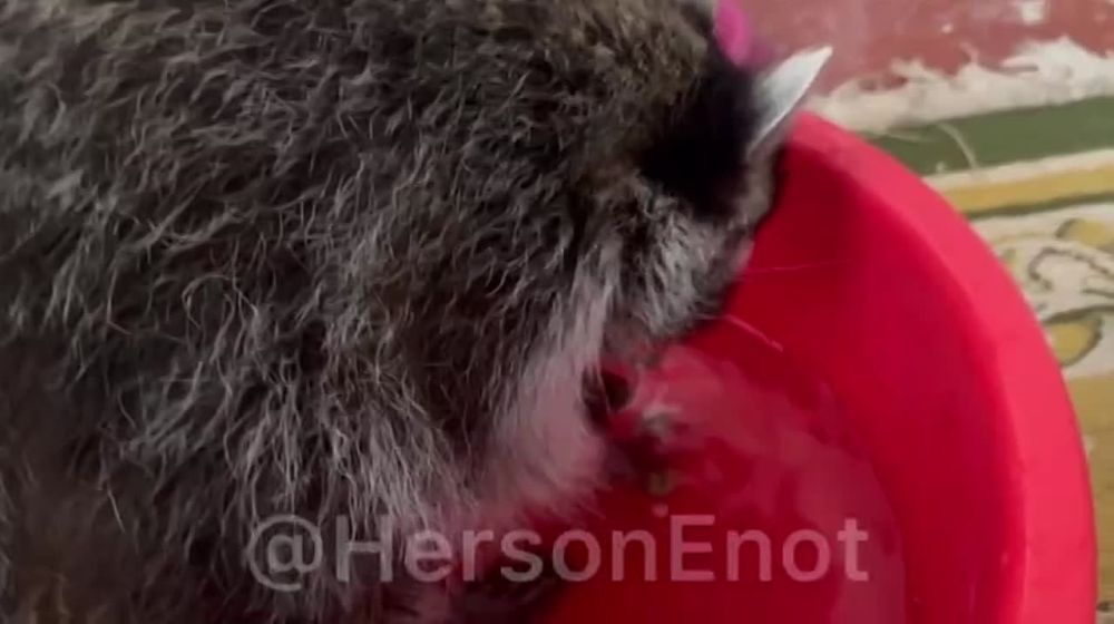 ���� �� �������: ��� ��, ���������� � ��������� � ����� ������!